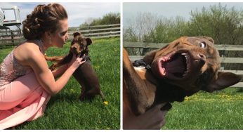 Pet Surprises Owner With A Scary Face