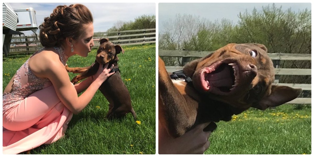 Pet Surprises Owner With A Scary Face