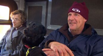 Pet Dog Takes A Bus To Go For A Walk In The Park All By Herself!