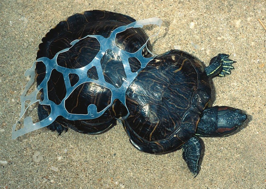 10+ Heartbreaking Photos Of Pollution. See & Think What We Are Doing To Our Home