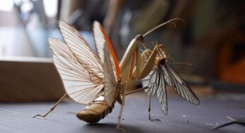 Remodeling Bamboo into a life-sized Insects Replics