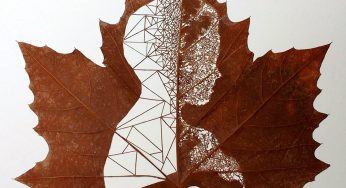 With Leaf As His Canvas, This Artist Amazes With His Unique Artistic Skills