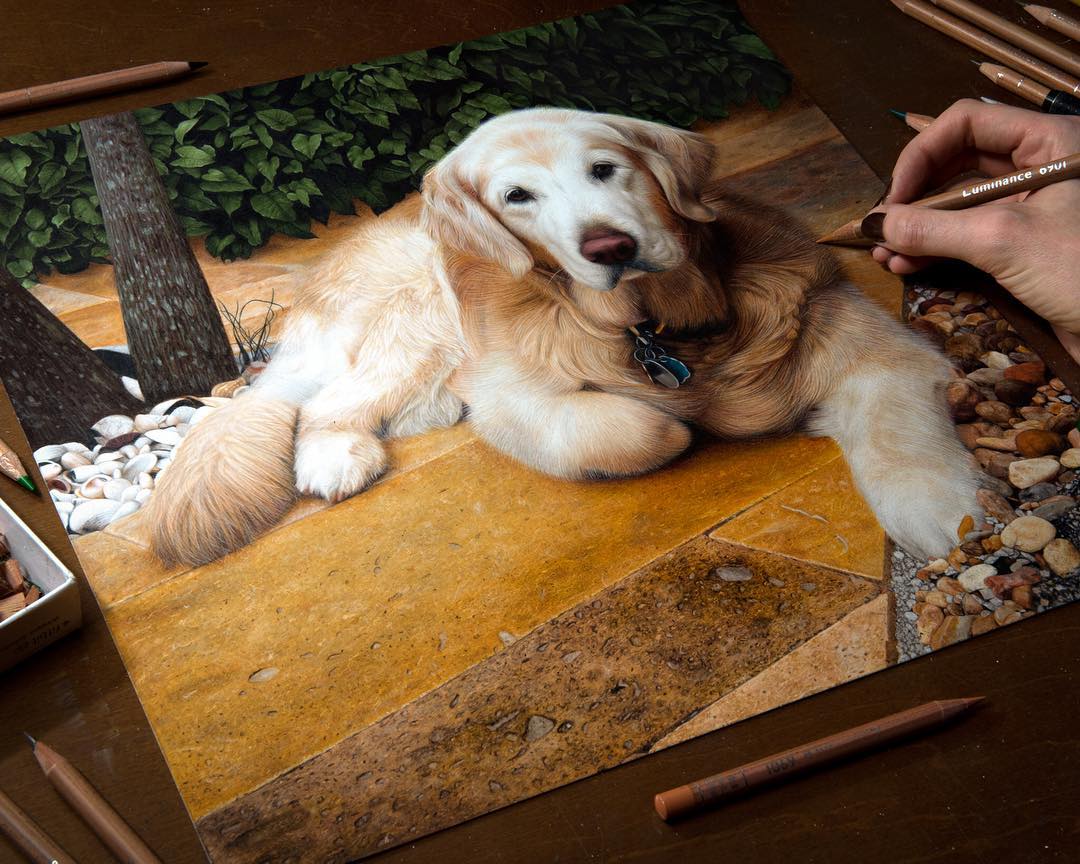 This Amazing Artist Draws So Realistically As To Blur The Line Between Drawing And Photography