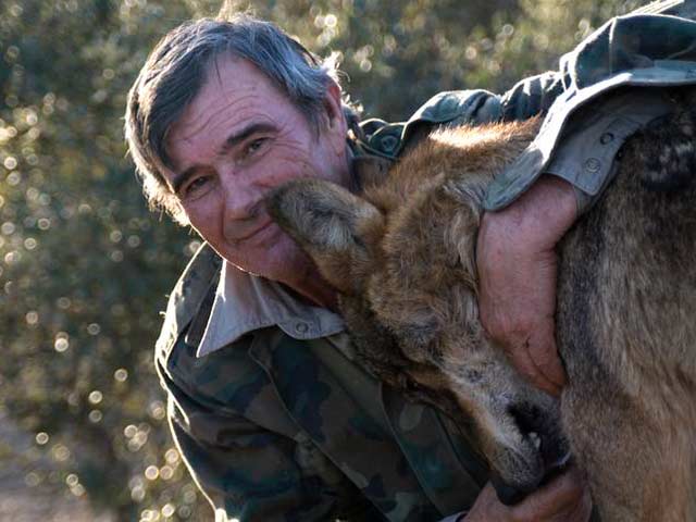 Man Raised By Wolves Struggles To Reintegrate With The Human World, Longs To Return To The Wilderness