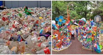 This Amazing Artist Has Created A Colorful Plastic Forest In Mexico City Using 3 Tons Of Plastic Waste