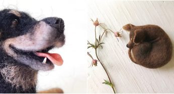 Needle Felting Expert Creates Puppies From Wool That Look So Real