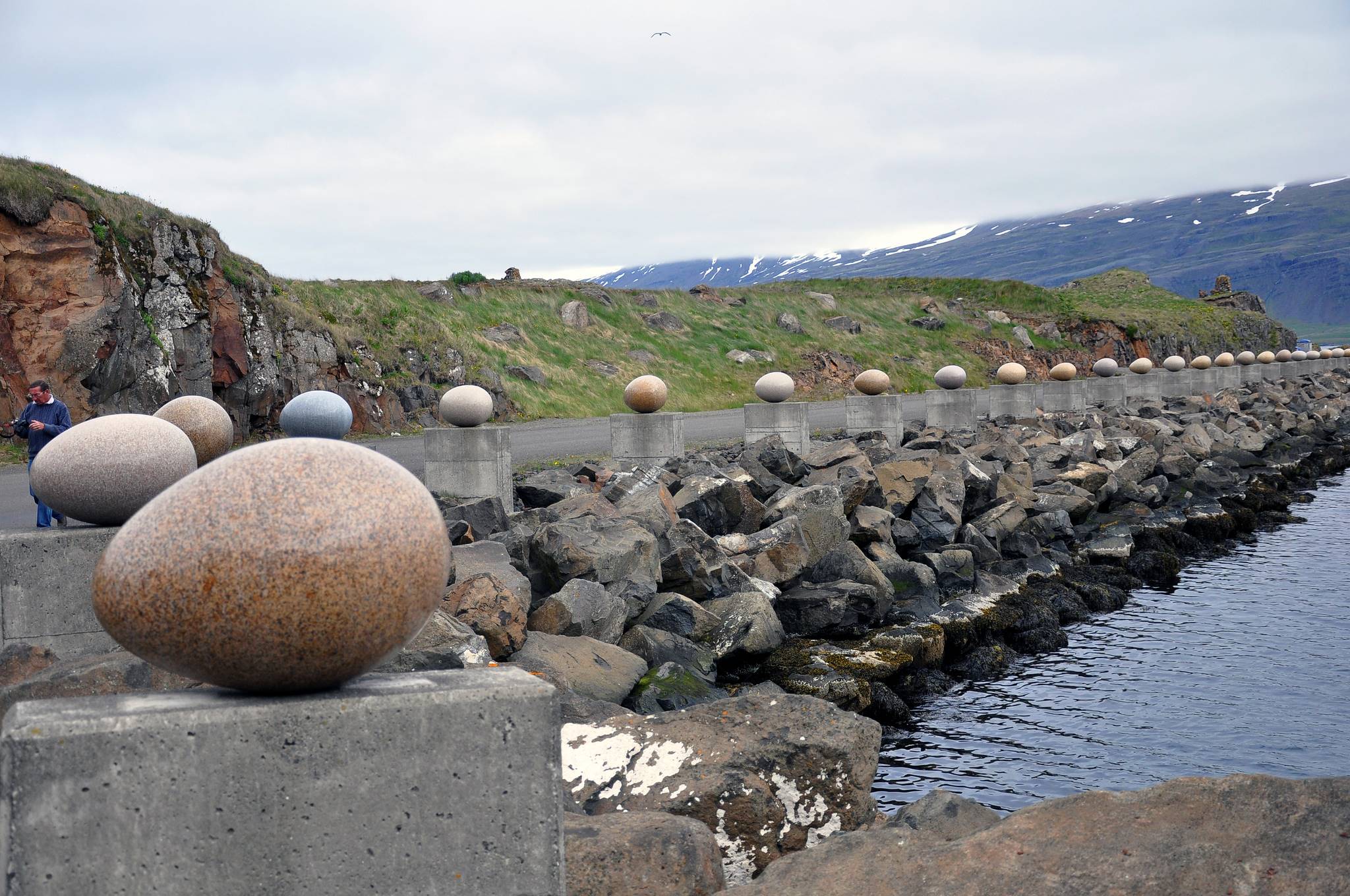 Gigantic Eggs Represent Iceland’s Species Of Birds – Both Local And Migratory