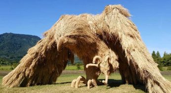 The Unique Wara Art Festival In Japan Showcases Massive Rice Straw Sculptures