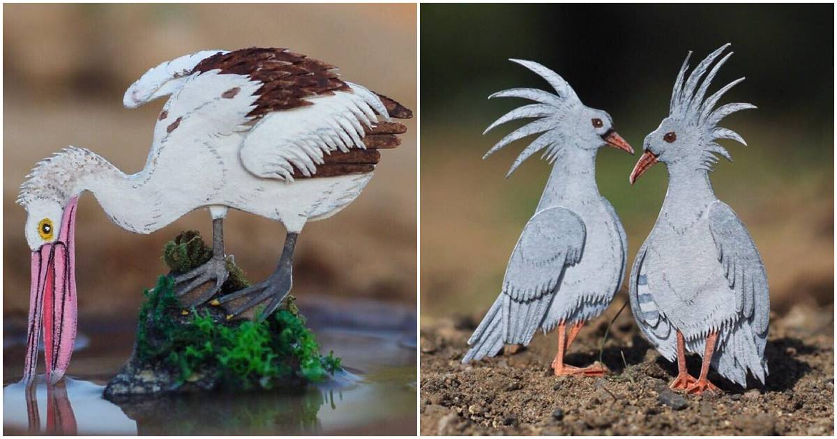 Amazingly Papercut Bird Miniatures Of This Indian Duo Are Making People Sit Up And Take Notice