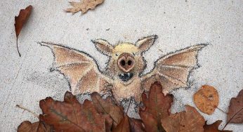 Creating Chalk Creatures On Sidewalks Has Led This Street Artist To Global Fame