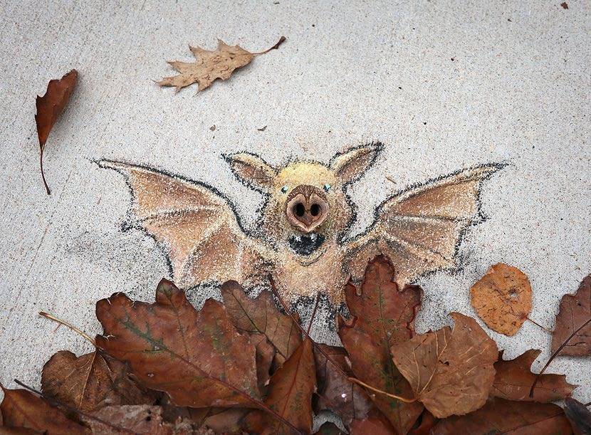 Creating Chalk Creatures On Sidewalks Has Led This Street Artist To Global Fame