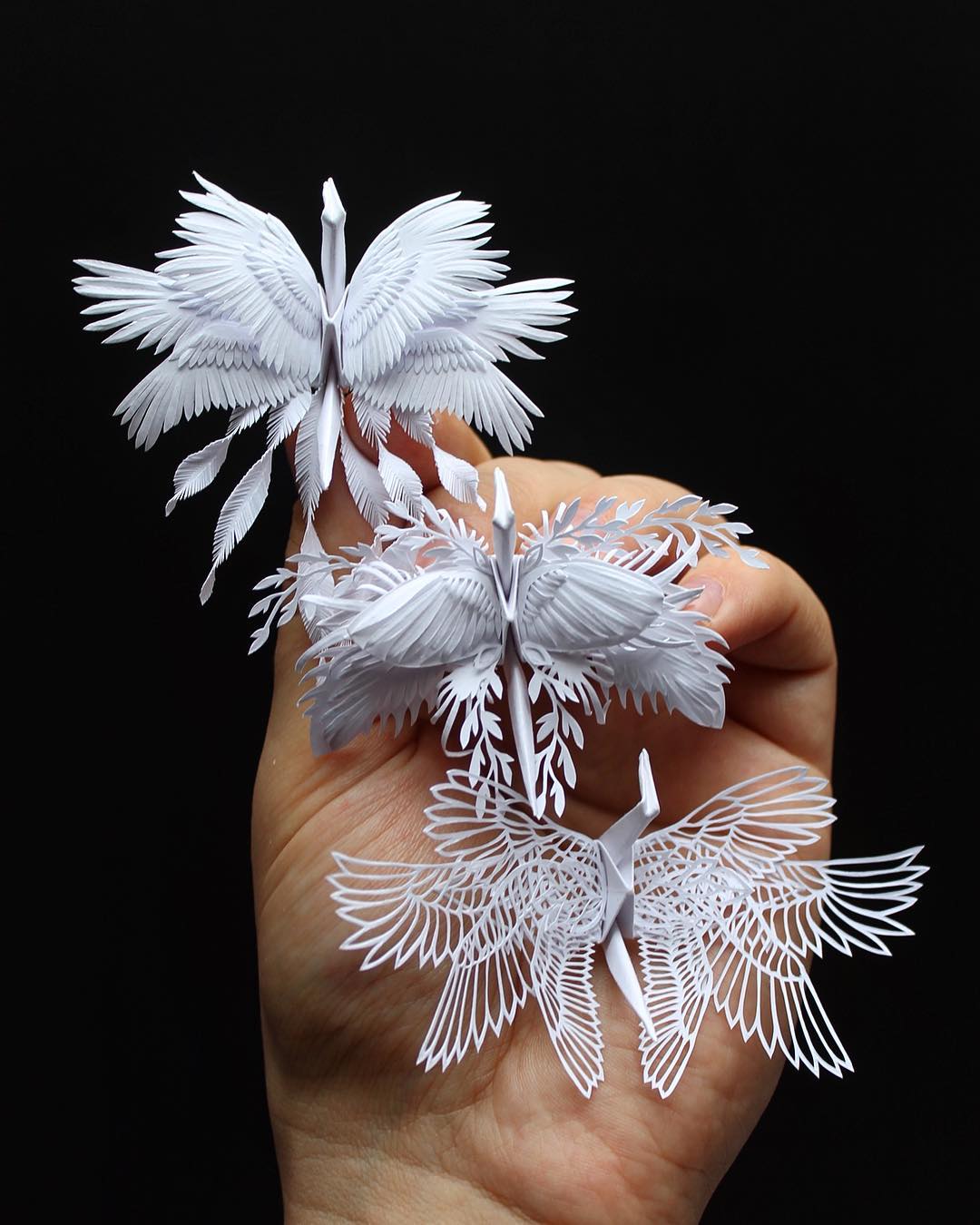 This Origami Enthusiast Spent Each Day Creating A New Origami Paper Crane for 1000 Days