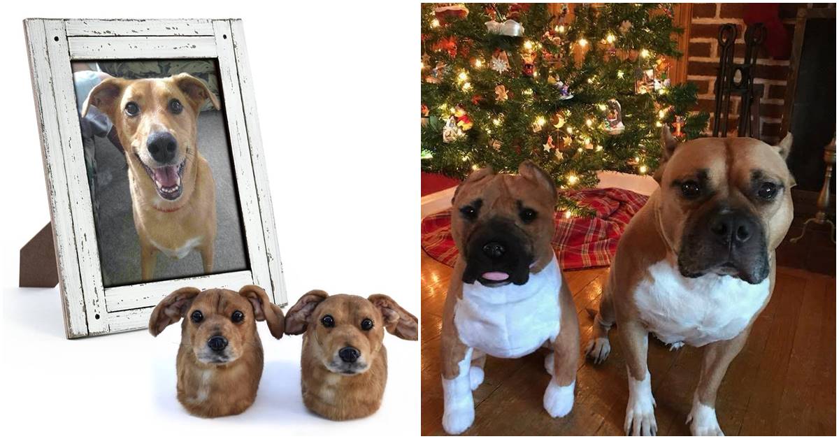 Cuddle Clones Immortalizes Your Pet Dog By Creating A Furry Stuffed Creature In Its Exact Image