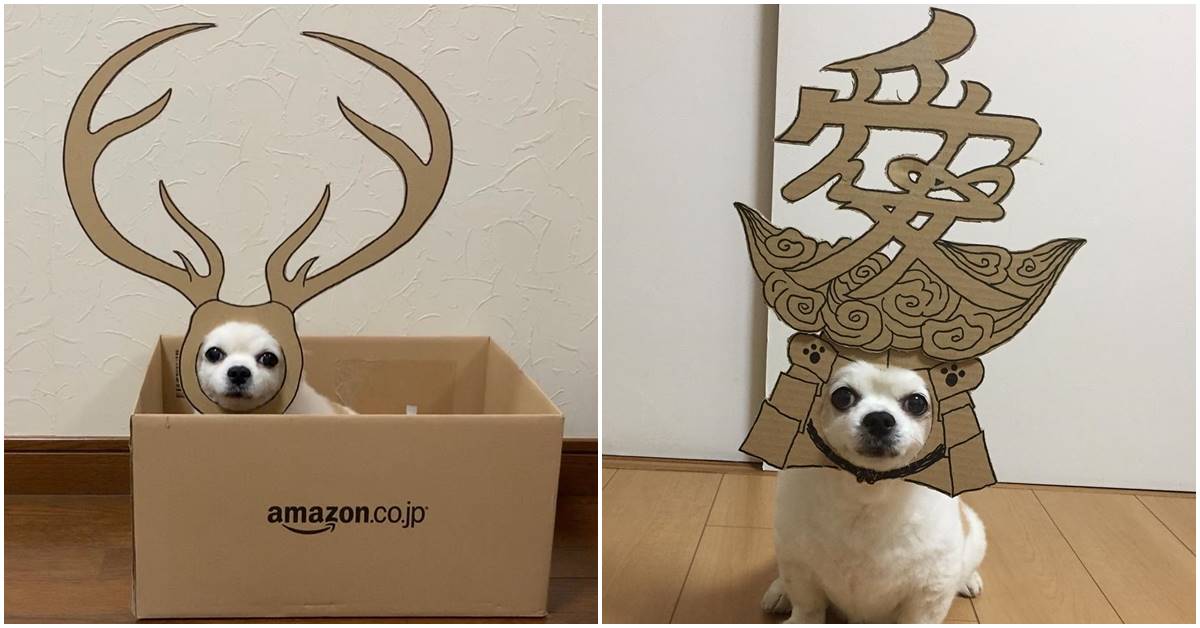 Cosplaying With Cardboard Cut-Outs This Cute Dog Is Winning The Hearts With Hilarious Depictions