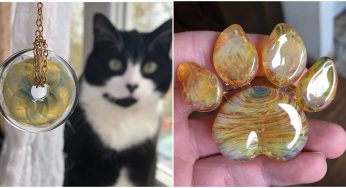 This Glass Blower Enshrines Your Departed Pet’s Ashes In Glass To Immortalize Your Pet