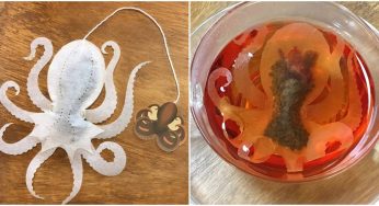 Animal-Shaped Teabags With Exotic Teas Are Making Waves On The Internet