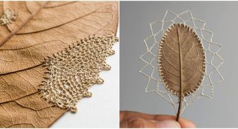 Delicate Crochet Embellishments On Dry And Fragile Leaves By Susanna Bauer