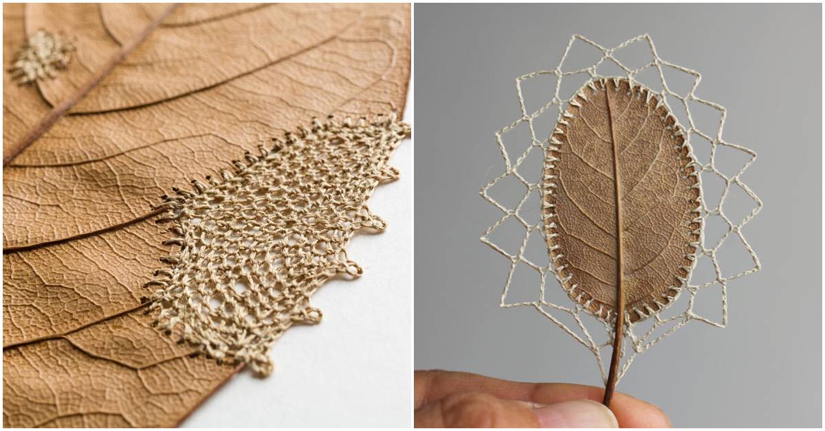 Delicate Crochet Embellishments On Dry And Fragile Leaves By Susanna Bauer