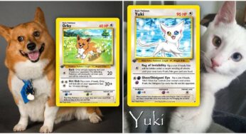 This Artist Helps In Transforming Your Adorable Pet Into A Pokémon Card