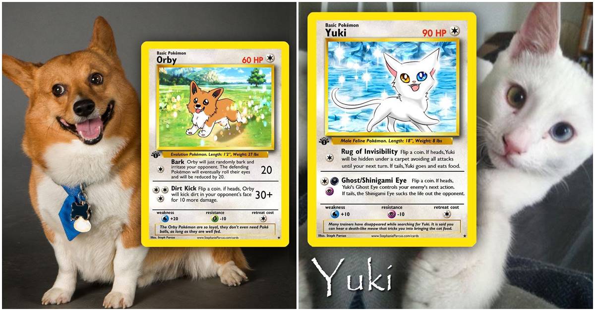 This Artist Helps In Transforming Your Adorable Pet Into A Pokémon Card