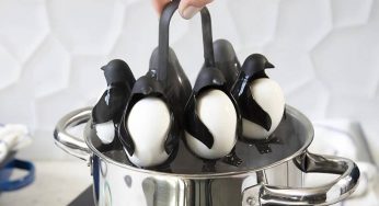 The Stylish Penguin Egg Cooker Makes Amazingly Perfect Boiled Eggs