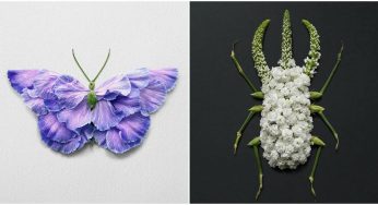 Creating Creatures From Petals And Leaves Is Making This Artist Popular On The Internet