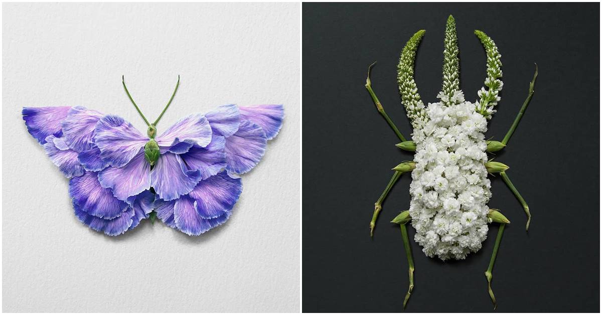 Creating Creatures From Petals And Leaves Is Making This Artist Popular On The Internet