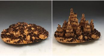 Wood Castles Appearing And Disappearing In Tree Burls Are Simply Fascinating To Watch