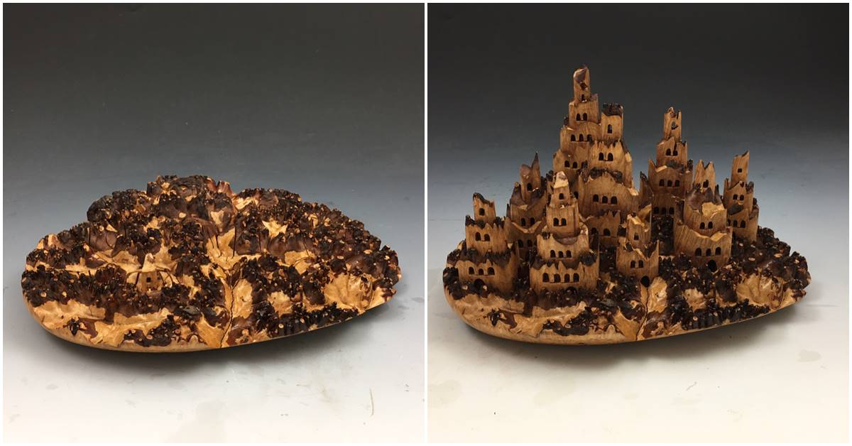 Wood Castles Appearing And Disappearing In Tree Burls Are Simply Fascinating To Watch