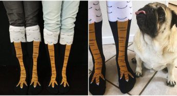 Crazy Chicken Leg Socks Make A Superb Accessory For A Chicken Halloween Dress