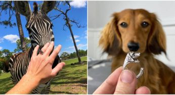 Now You Can Own Beautiful Handcrafted Rings And Necklaces Bearing Your Favorite Animals