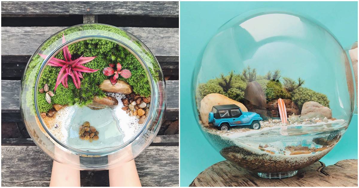 Spanish Woman With A Green Thumb Creates Beautiful Self-Sustaining Terrariums