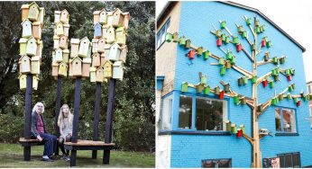 Bird Loving Street Artist Creates Adorable Colorful Birdhouses As Street Art Across The Globe