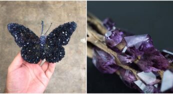 Artist Grows Crystals On Dead Bugs To Create One-Of-A-Kind Art