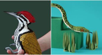 Paper Cutting Artist Creates Amazingly Realistic Paper Plants And Animals