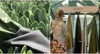 These Guys Found A Way To Make Leather Out Of Cactus To Help Save The Environment