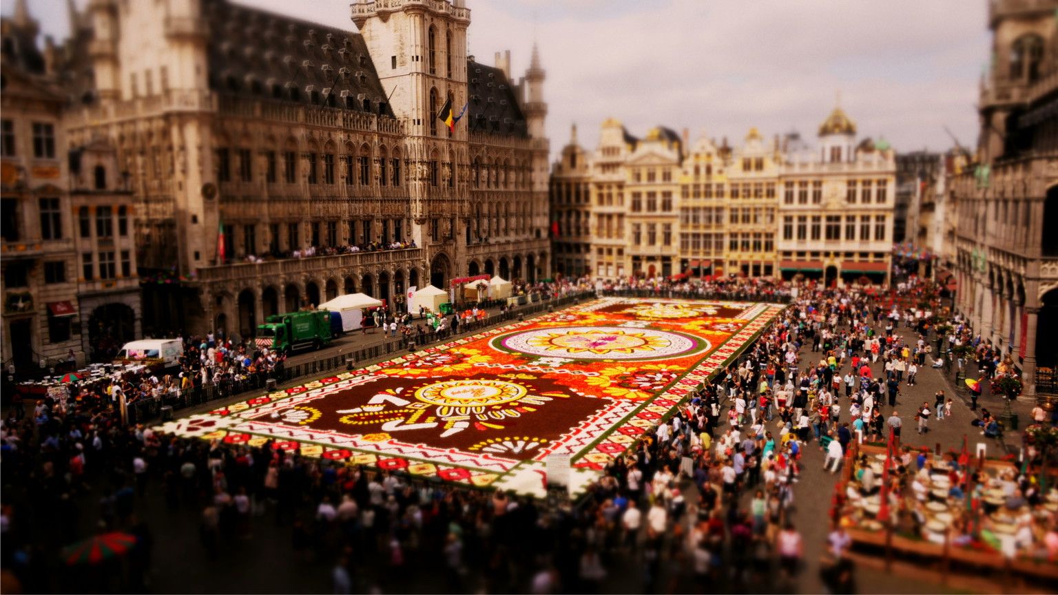 Time-Lapse Technology Captures The Sheer Beauty Of Flower Carpet Comprising A Million Begonias