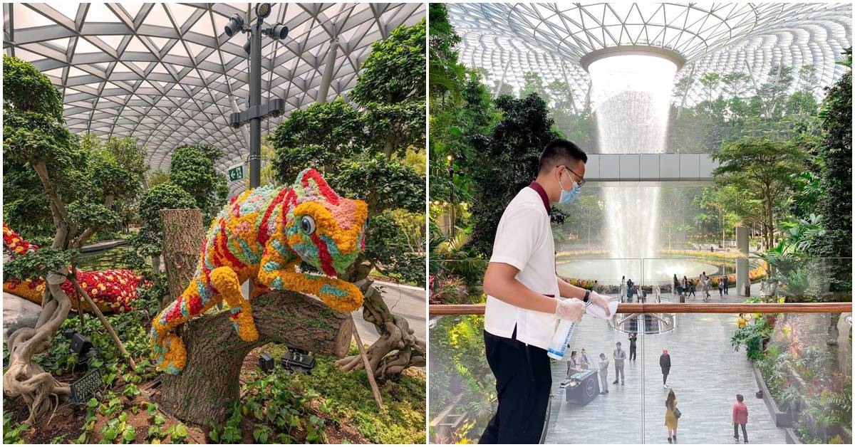 Jewel Changi Airport – The Nature Themed International Airport