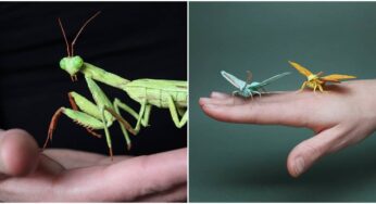 Paper Sculptor Creates Lifelike Plants And Insects From Crepe Paper