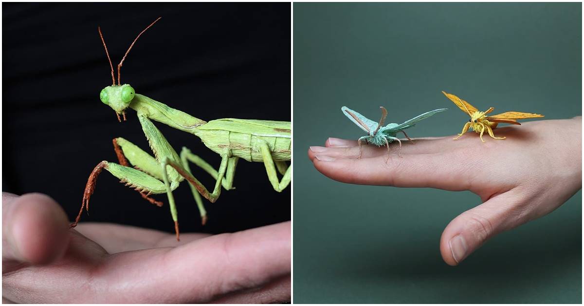 Paper Sculptor Creates Lifelike Plants And Insects From Crepe Paper