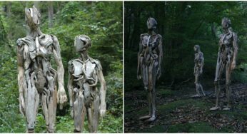 Japanese Sculptor’s Driftwood Human Figures Are Frightening Enough To Give Sleepless Nights!