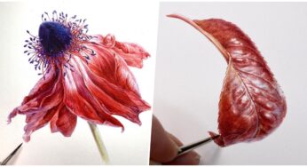 Botanical Paintings That Look More Realistic Than Real Plant Parts!