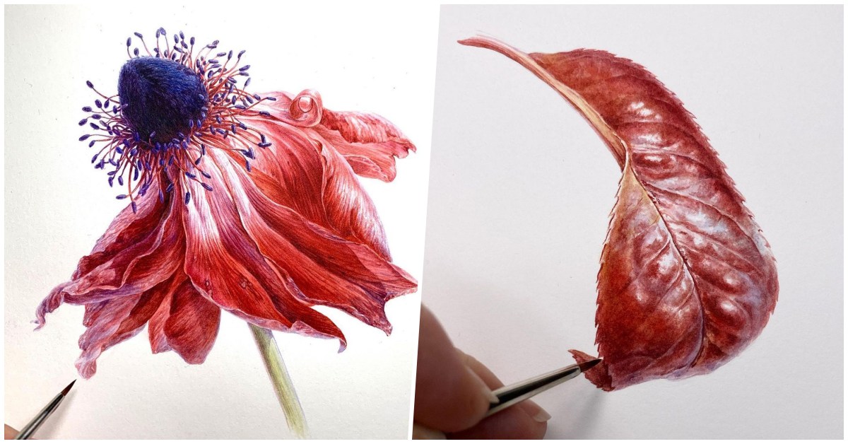 Botanical Paintings That Look More Realistic Than Real Plant Parts!