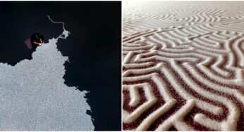 Japanese Artist Creates Stunning Art with Common White Salt