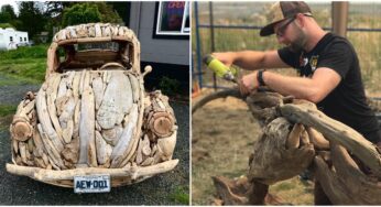 Canadian Sculptor takes Driftwood Sculpting to Another Level