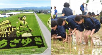 Japanese Volunteers Create Gigantic Art with Rice Saplings in Village Paddy Fields