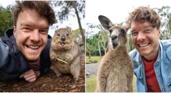 Irish Photographer Makes Waves on the Internet with Adorable Animal Selfies