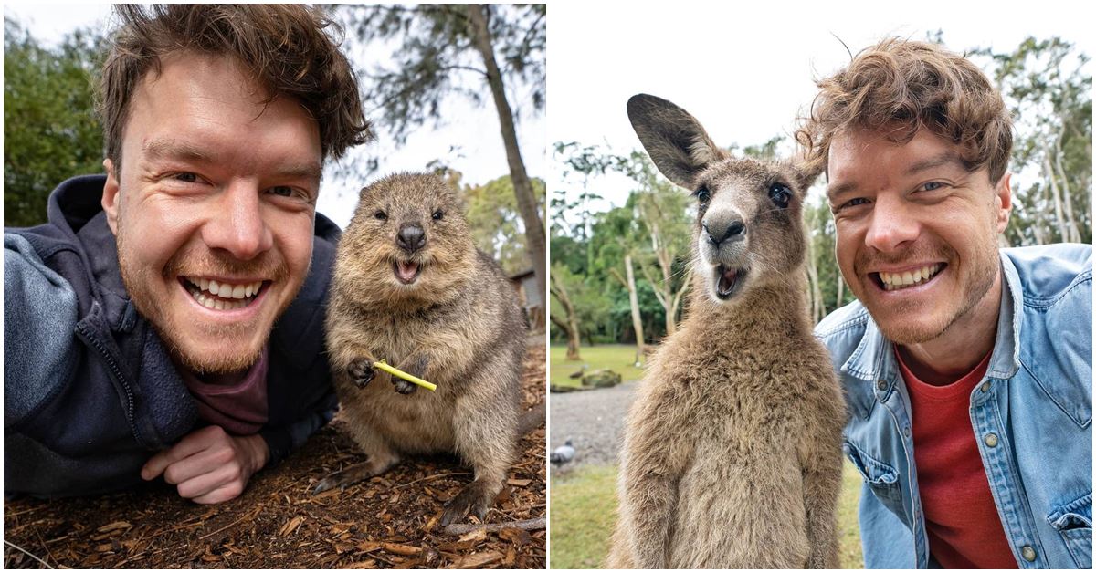 Irish Photographer Makes Waves on the Internet with Adorable Animal Selfies