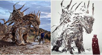 Italian Sculptor Uses Dead Trees and Fallen Wood to Create Stunning Wood Sculptures