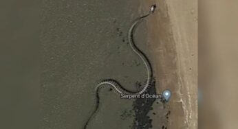 Google Map Reveals the Skeletal Remains of an Extinct Giant Snake that Turned Out to be a Piece of Art